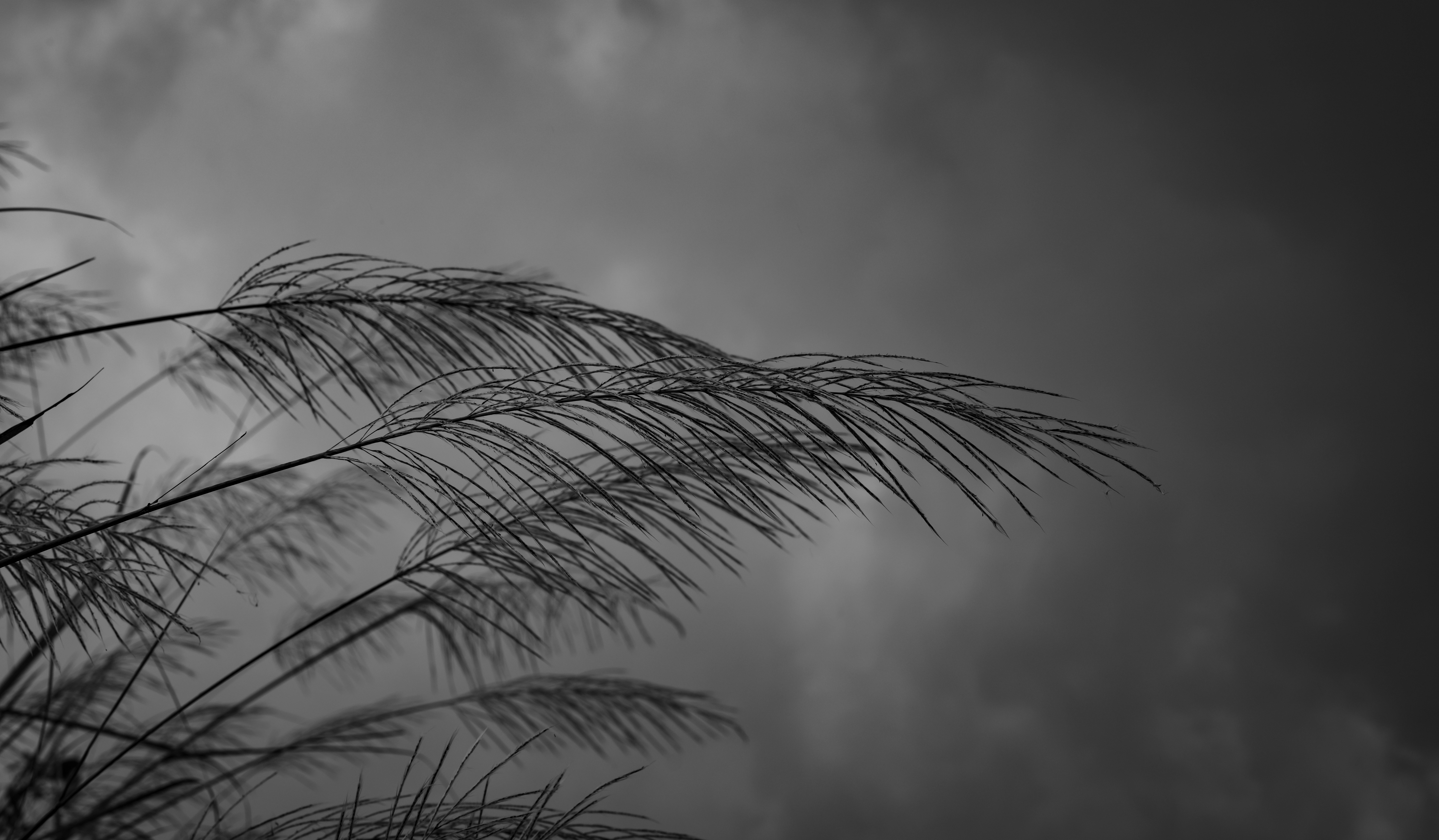 North Shore Boston Mental Health Programs