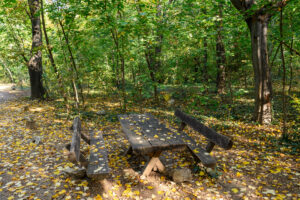 Sober in the Fall: Relapse Prevention After a Sober Summer in Concord, MA